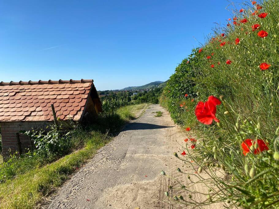 Acapella Suite Adagio 54Qm, Direkt Am Weinberg, Altstadt, Netflix Inklusive Heppenheim  Exteriör bild